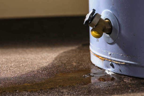 Best Flooded house restoration  in Bryn Mawr, PA