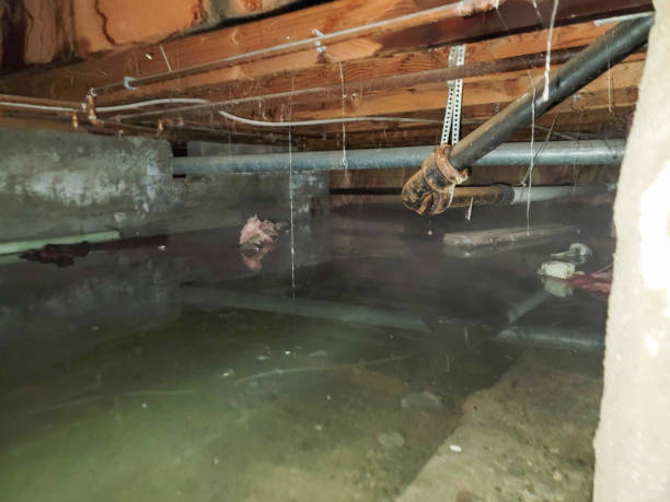Best Water damage contractors near me  in Bryn Mawr, PA