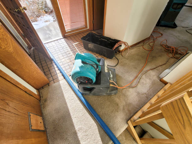 Best Water damage restoration company  in Bryn Mawr, PA