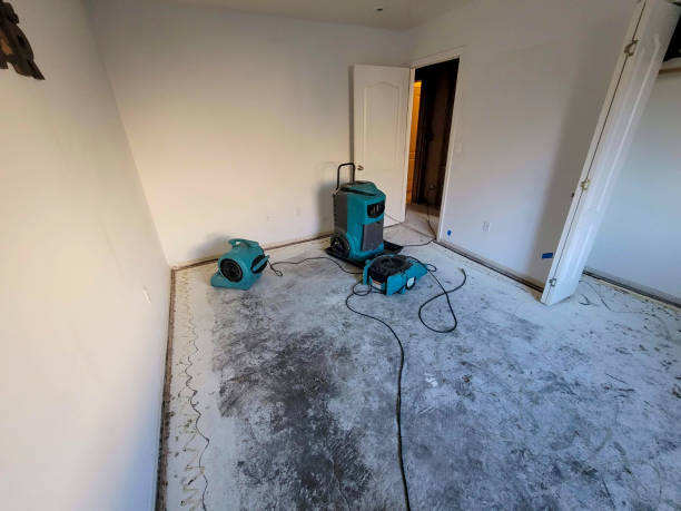 Best Water damage repair service  in Bryn Mawr, PA
