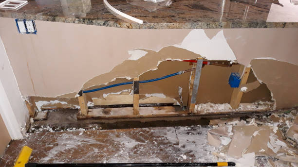Best Water damage cleanup near me  in Bryn Mawr, PA