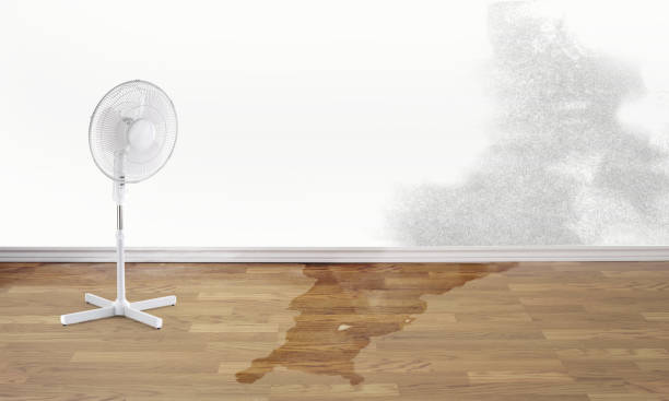 Best Residential water damage restoration  in Bryn Mawr, PA