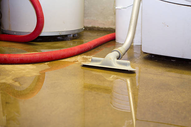 Best Commercial water damage restoration  in Bryn Mawr, PA