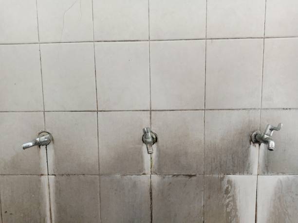Best Basement water damage restoration  in Bryn Mawr, PA