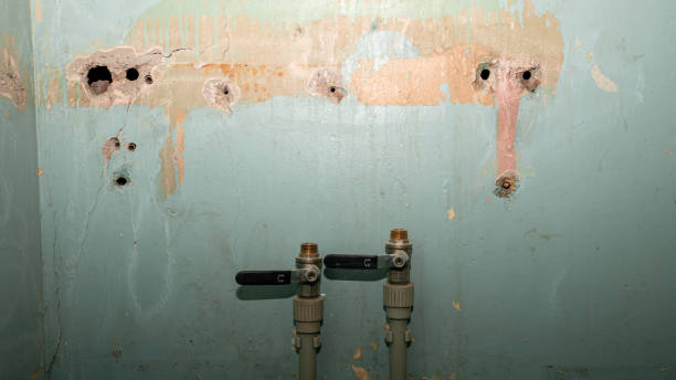 Best Water damage cleanup near me  in Bryn Mawr, PA